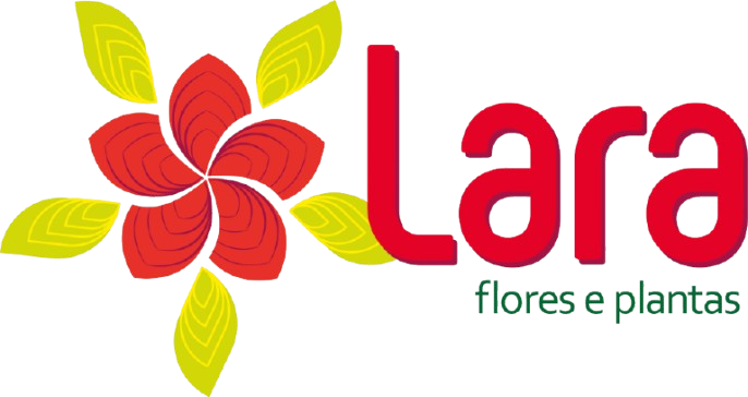 Lara Flores e Plantas